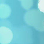 一緒に取得したい許可業種
